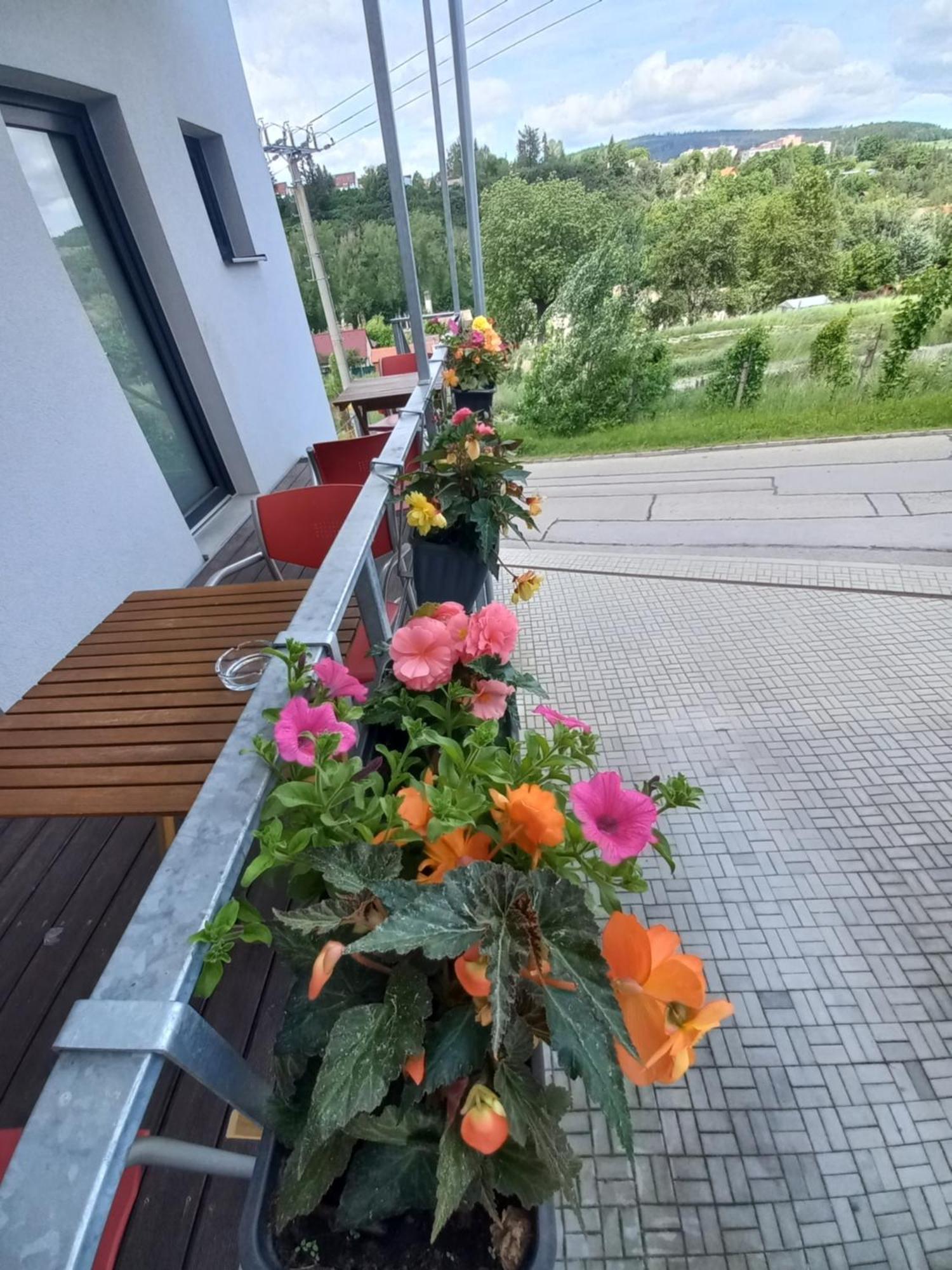 Pension Salma Český Krumlov Exterior foto